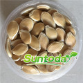 Round black  hybrid pumpkin seeds